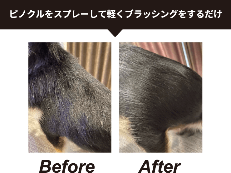 ピノクルをスプレーして軽くブラッシングをするだけ Before After